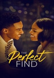 The Perfect Find (2023)
